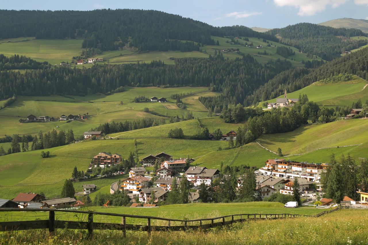 Zaun auf Wiese vor einem Dorf